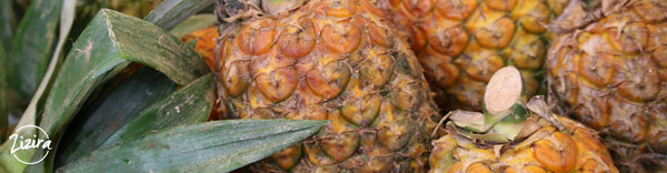 Organic Pineapples Provides Livelihood for a Meghalaya Farmer