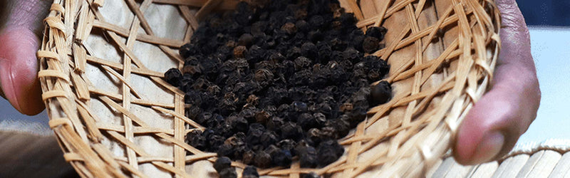 Black Pepper: The Black Gold and King of Spices