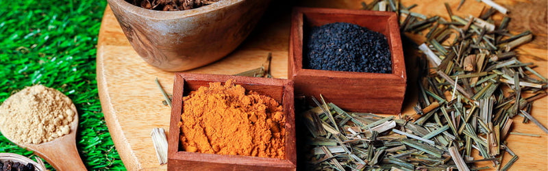 Top Health Benefits of Spices