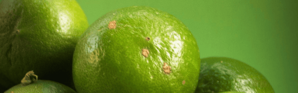 Sweet lime from Meghalaya