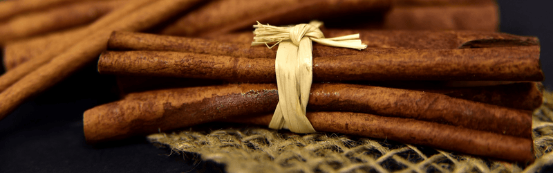 Cinnamon from Meghalaya