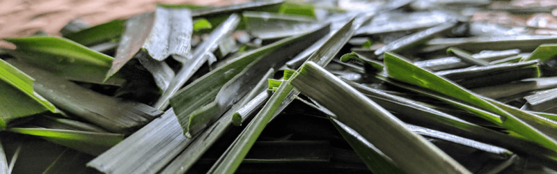 Lemongrass from Meghalaya