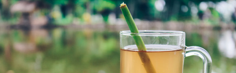 Lemongrass Tea: Benefits and Uses of Lemongrass