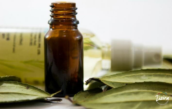 7 Amazing Health Benefits of Cedar Essential Oil