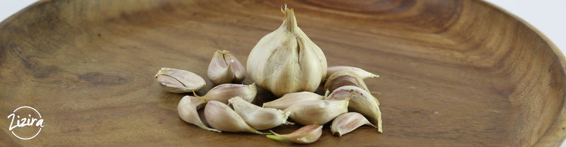 Why We Love Rocambole Garlic - And You Should, Too!
