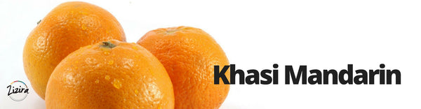 Khasi Mandarin of Meghalaya, a Rare and Unique Citrus Species