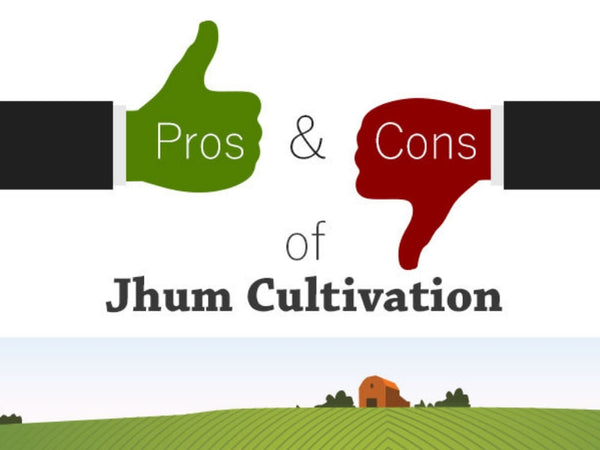 Pros And Cons Of Jhum Cultivation [Infographic]