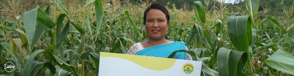 Success Story: Farmer Angela Shangoi of West Khasi Hills