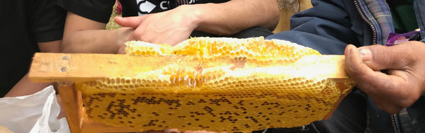 What is Honey? Honey vs Sugar: Replacing Sugar with Honey.