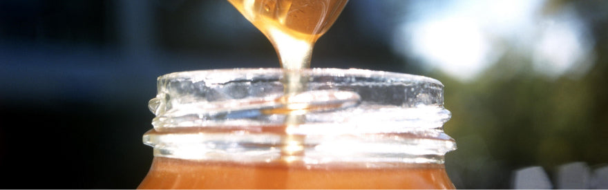 Honey vs Sugar - All You Need to Know about the Never-ending Debate